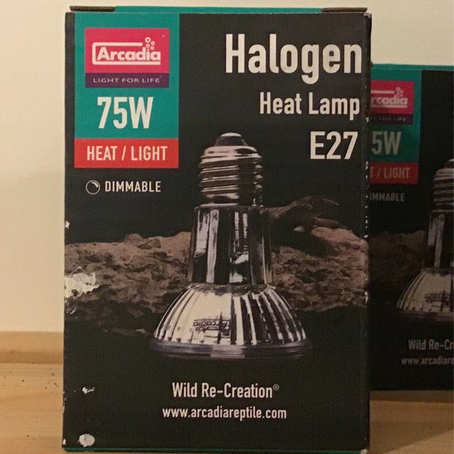 Arcadia Halogen Heat Lamp