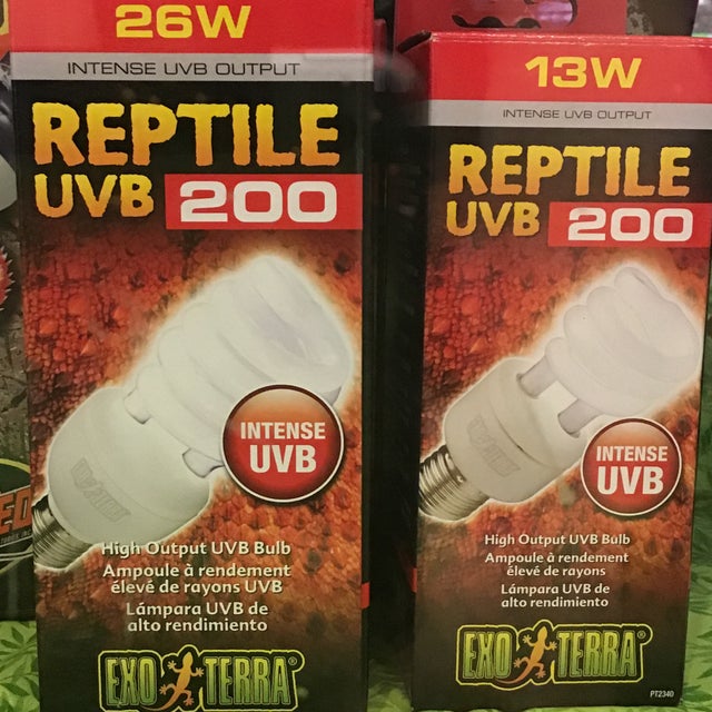 ExoTerra Reptile UVB 200 Intense