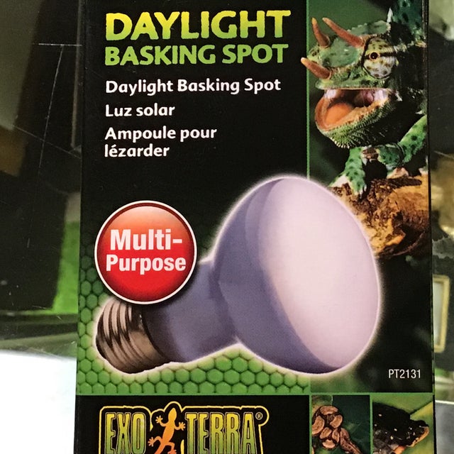 ExoTerra Daylight Basking Spot