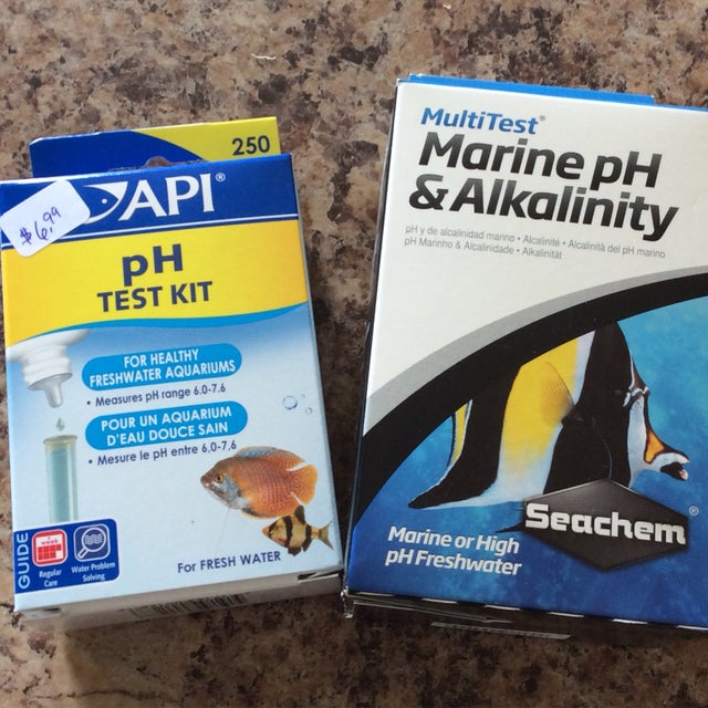 Test Kits And Water Maintenance