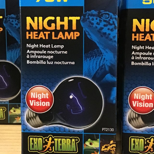 ExoTerra Night Heat Lamp